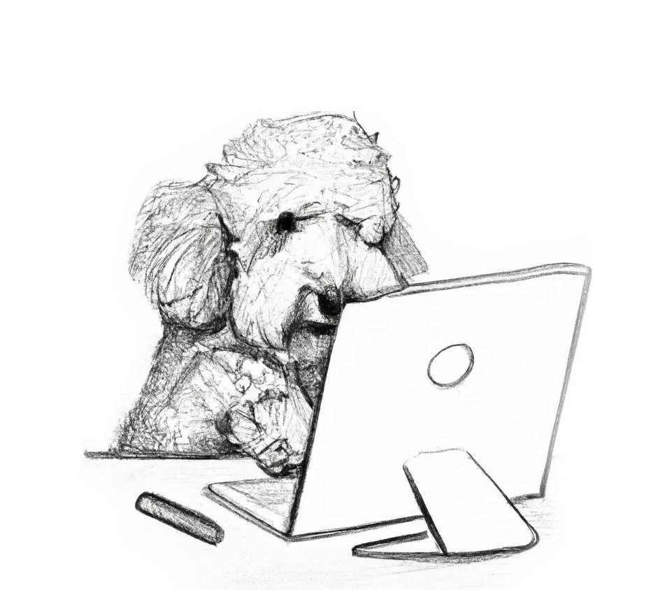 dog using a desktop